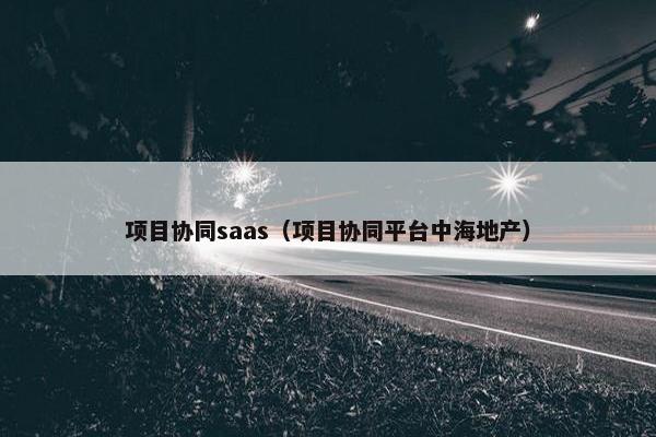 项目协同saas（项目协同平台中海地产）