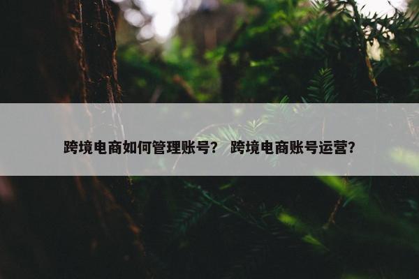 跨境电商如何管理账号？ 跨境电商账号运营？
