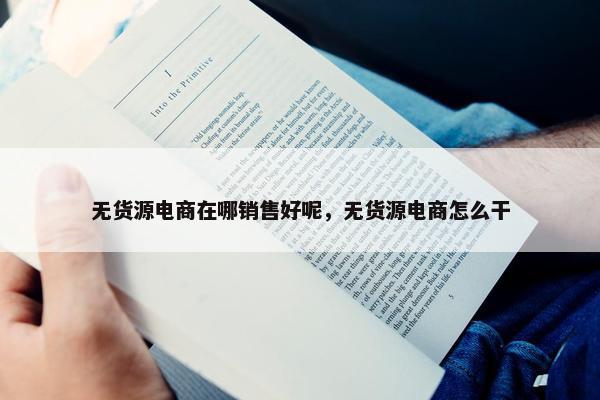 无货源电商在哪销售好呢，无货源电商怎么干