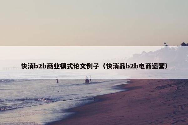 快消b2b商业模式论文例子（快消品b2b电商运营）