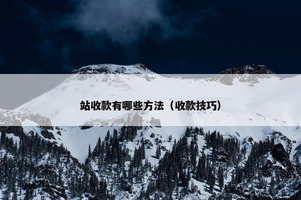 站收款有哪些方法（收款技巧）