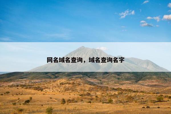 网名域名查询，域名查询名字