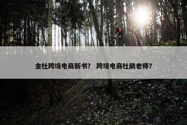 金杜跨境电商新书？ 跨境电商杜鹃老师？