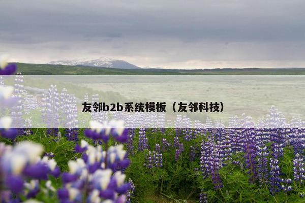 友邻b2b系统模板（友邻科技）