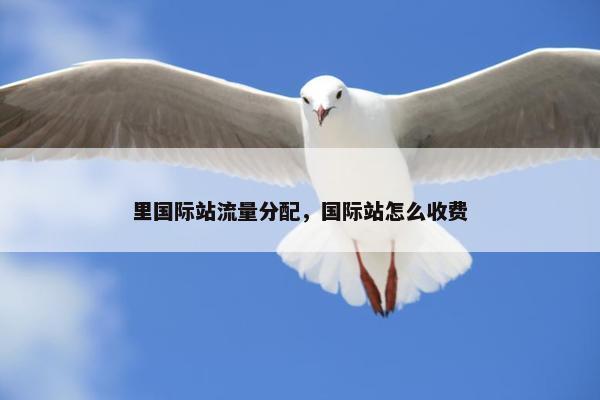 里国际站流量分配，国际站怎么收费