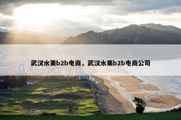 武汉水果b2b电商，武汉水果b2b电商公司