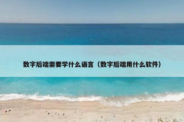 数字后端需要学什么语言（数字后端用什么软件）