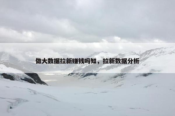做大数据拉新赚钱吗知，拉新数据分析