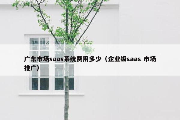 广东市场saas系统费用多少（企业级saas 市场推广）
