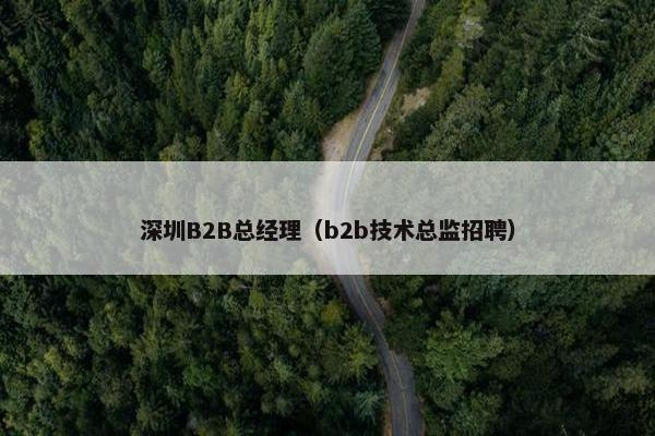 深圳B2B总经理（b2b技术总监招聘）