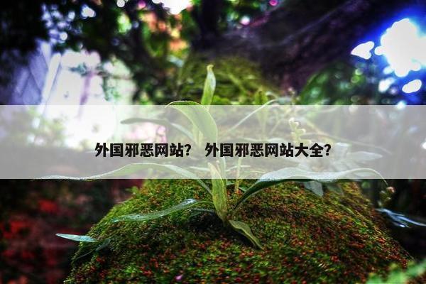 外国邪恶网站？ 外国邪恶网站大全？