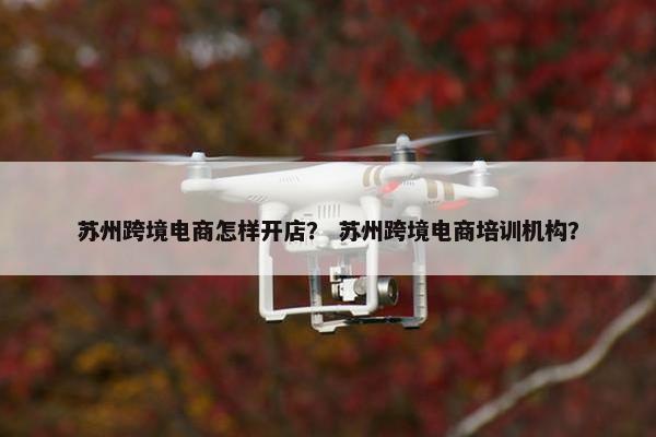苏州跨境电商怎样开店？ 苏州跨境电商培训机构？