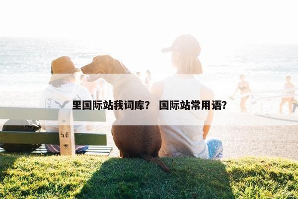 里国际站我词库？ 国际站常用语？