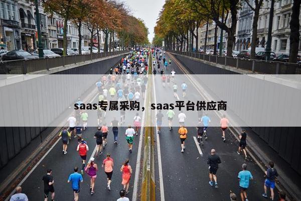 saas专属采购，saas平台供应商