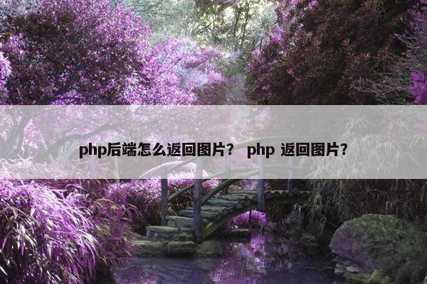 php后端怎么返回图片？ php 返回图片？