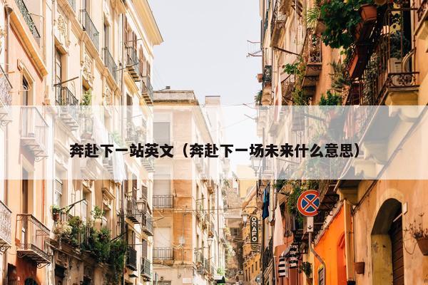 奔赴下一站英文（奔赴下一场未来什么意思）