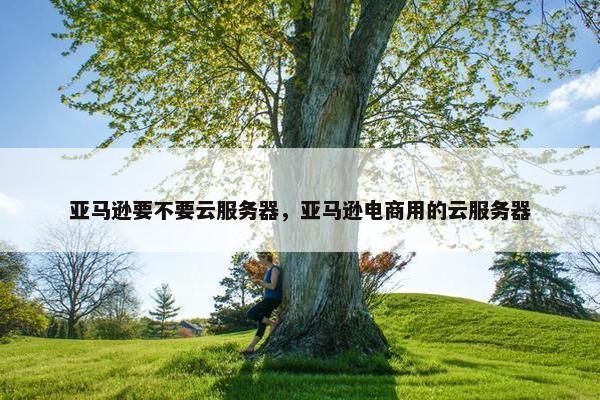 亚马逊要不要云服务器，亚马逊电商用的云服务器