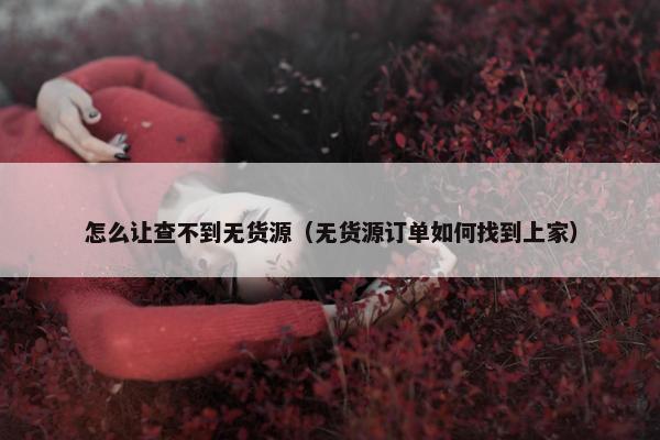怎么让查不到无货源（无货源订单如何找到上家）