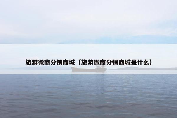 旅游微商分销商城（旅游微商分销商城是什么）