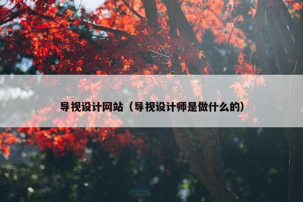 导视设计网站（导视设计师是做什么的）
