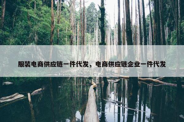服装电商供应链一件代发，电商供应链企业一件代发