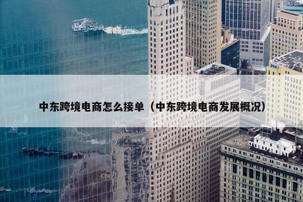 中东跨境电商怎么接单（中东跨境电商发展概况）