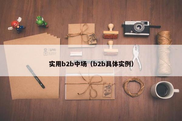 实用b2b中场（b2b具体实例）