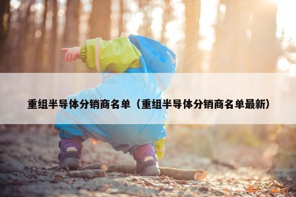重组半导体分销商名单（重组半导体分销商名单最新）