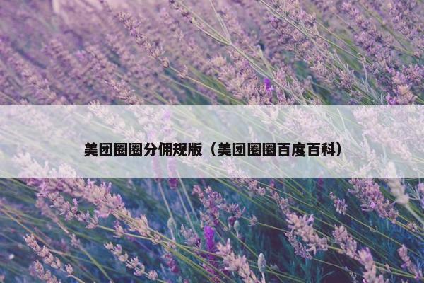 美团圈圈分佣规版（美团圈圈百度百科）