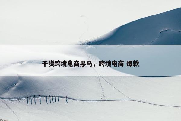干货跨境电商黑马，跨境电商 爆款