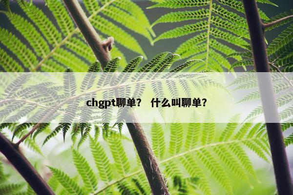 chgpt聊单？ 什么叫聊单？