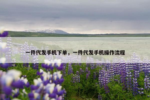 一件代发手机下单，一件代发手机操作流程