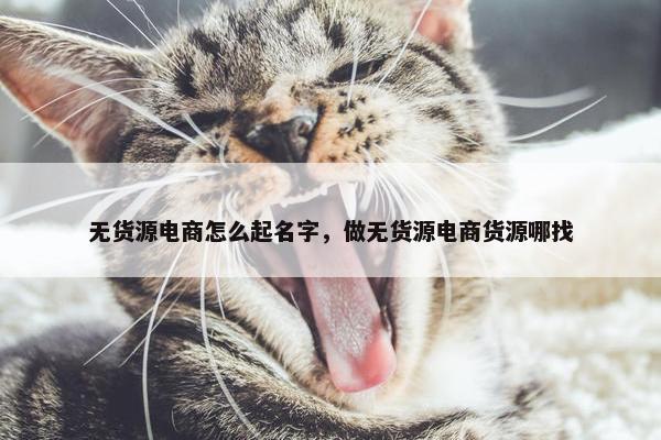 无货源电商怎么起名字，做无货源电商货源哪找