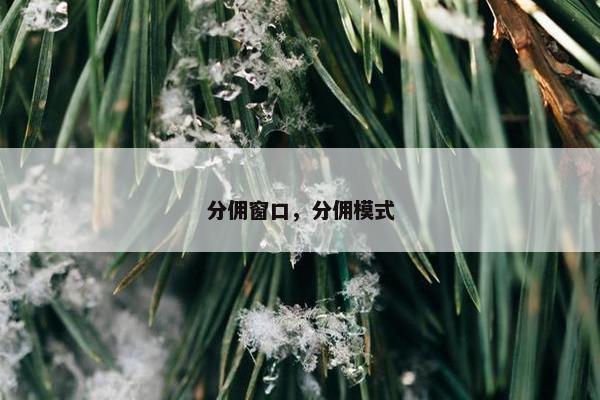 分佣窗口，分佣模式