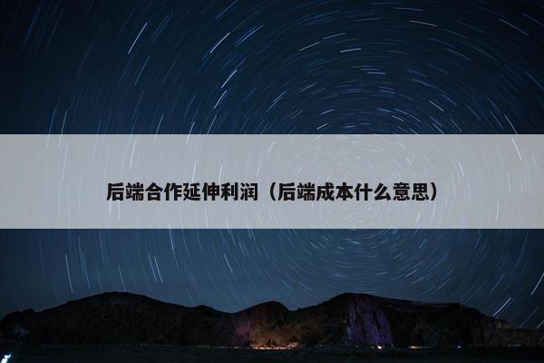 后端合作延伸利润（后端成本什么意思）