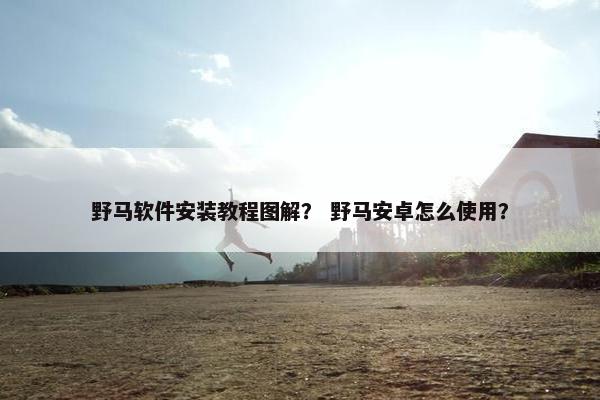 野马软件安装教程图解？ 野马安卓怎么使用？