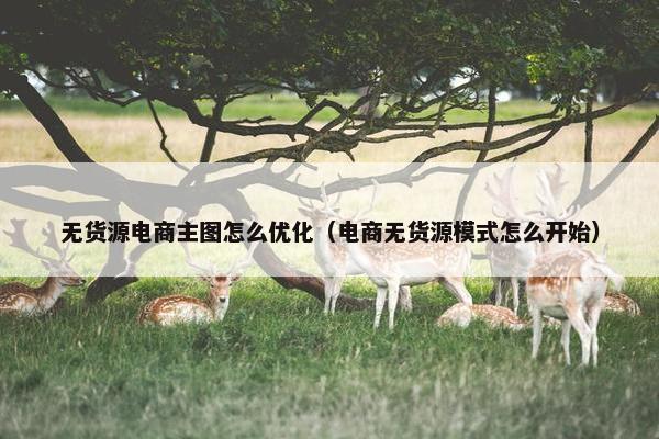 无货源电商主图怎么优化（电商无货源模式怎么开始）