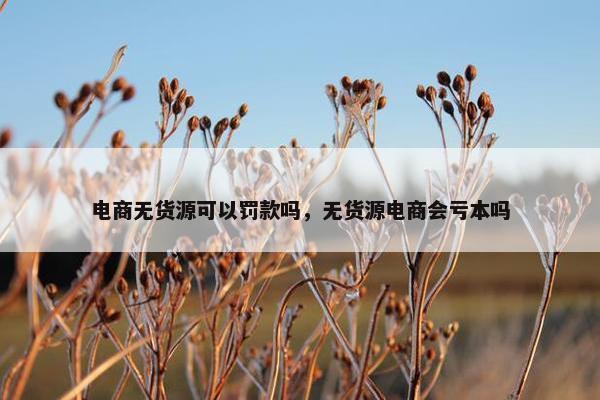 电商无货源可以罚款吗，无货源电商会亏本吗