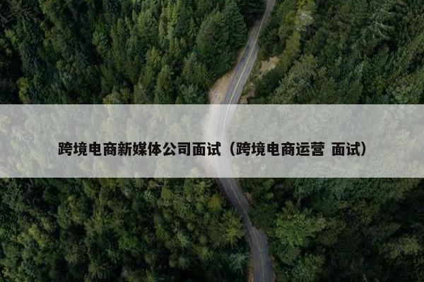 跨境电商新媒体公司面试（跨境电商运营 面试）