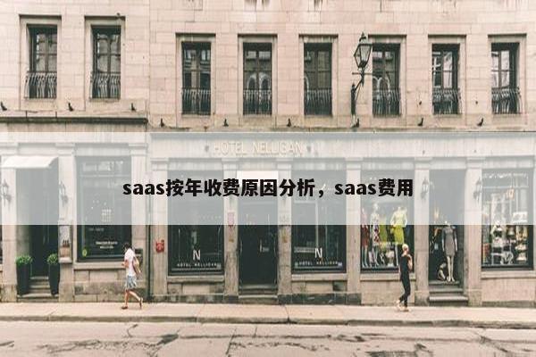 saas按年收费原因分析，saas费用