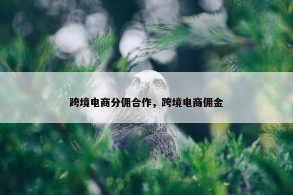 跨境电商分佣合作，跨境电商佣金