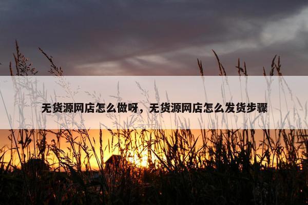 无货源网店怎么做呀，无货源网店怎么发货步骤