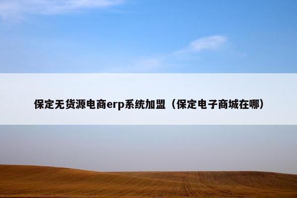 保定无货源电商erp系统加盟（保定电子商城在哪）