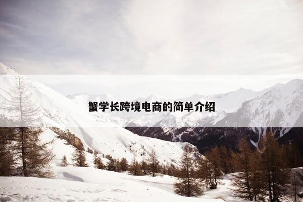 蟹学长跨境电商的简单介绍