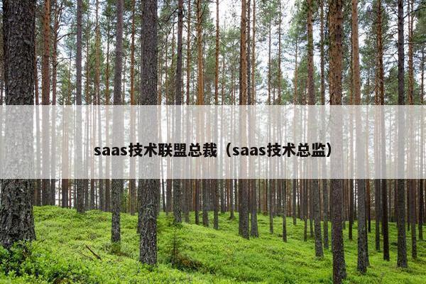 saas技术联盟总裁（saas技术总监）