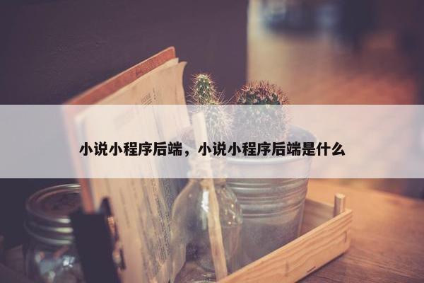 小说小程序后端，小说小程序后端是什么