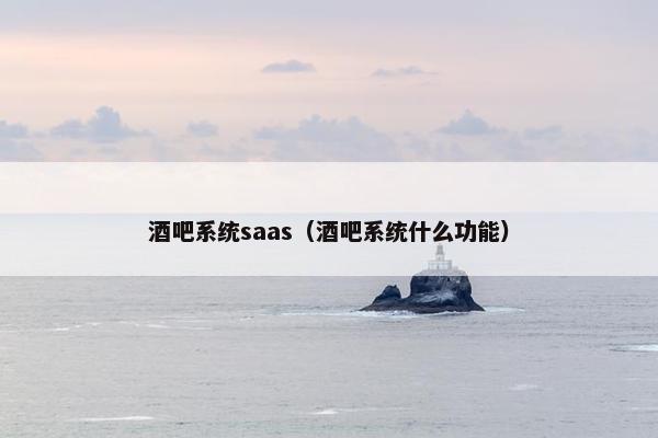 酒吧系统saas（酒吧系统什么功能）