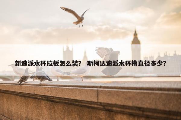新速派水杯拉板怎么装？ 斯柯达速派水杯槽直径多少？