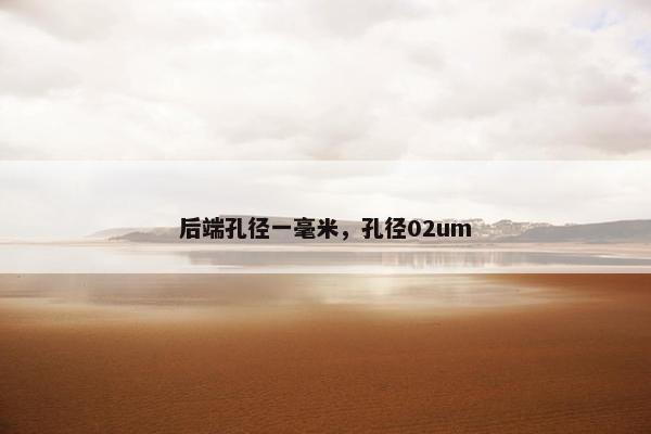 后端孔径一毫米，孔径02um