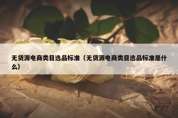 无货源电商类目选品标准（无货源电商类目选品标准是什么）